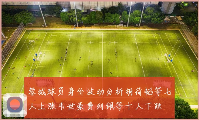 蓉城球员身价波动分析胡荷韬等七人上涨韦世豪费利佩等十人下跌